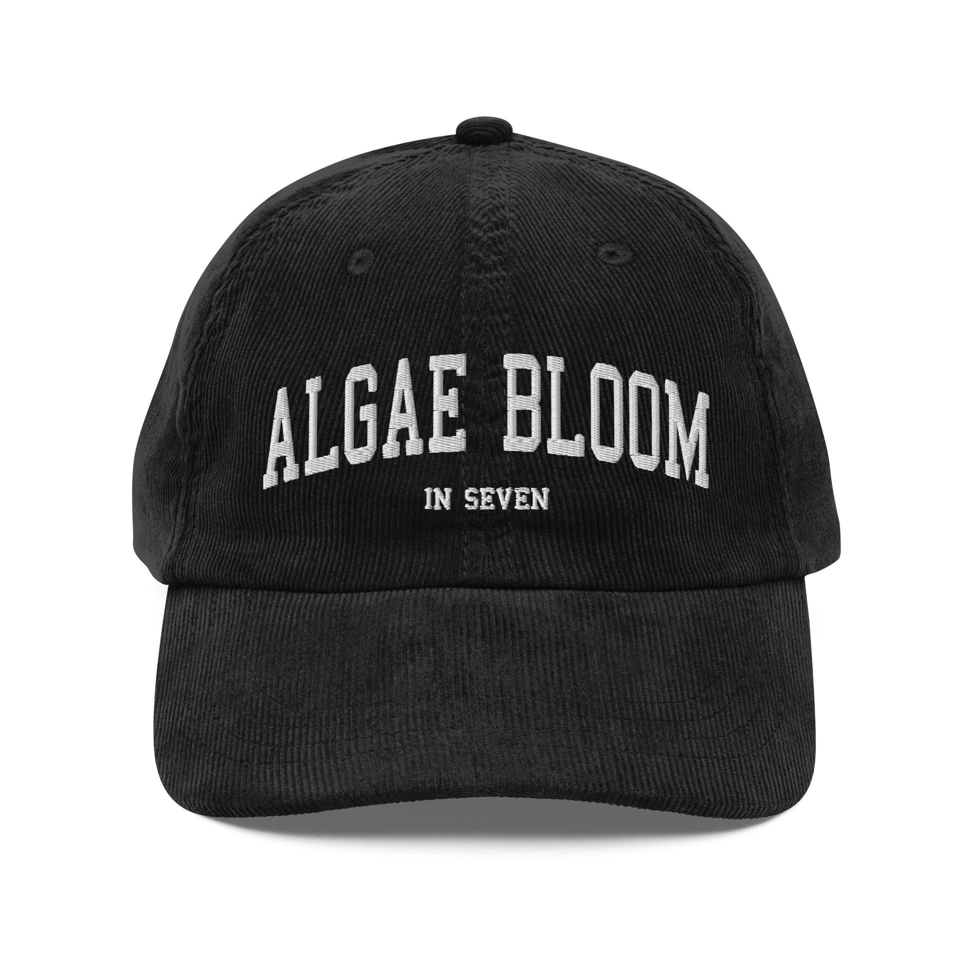 Algae Bloom In Seven Corduroy Dad Hat