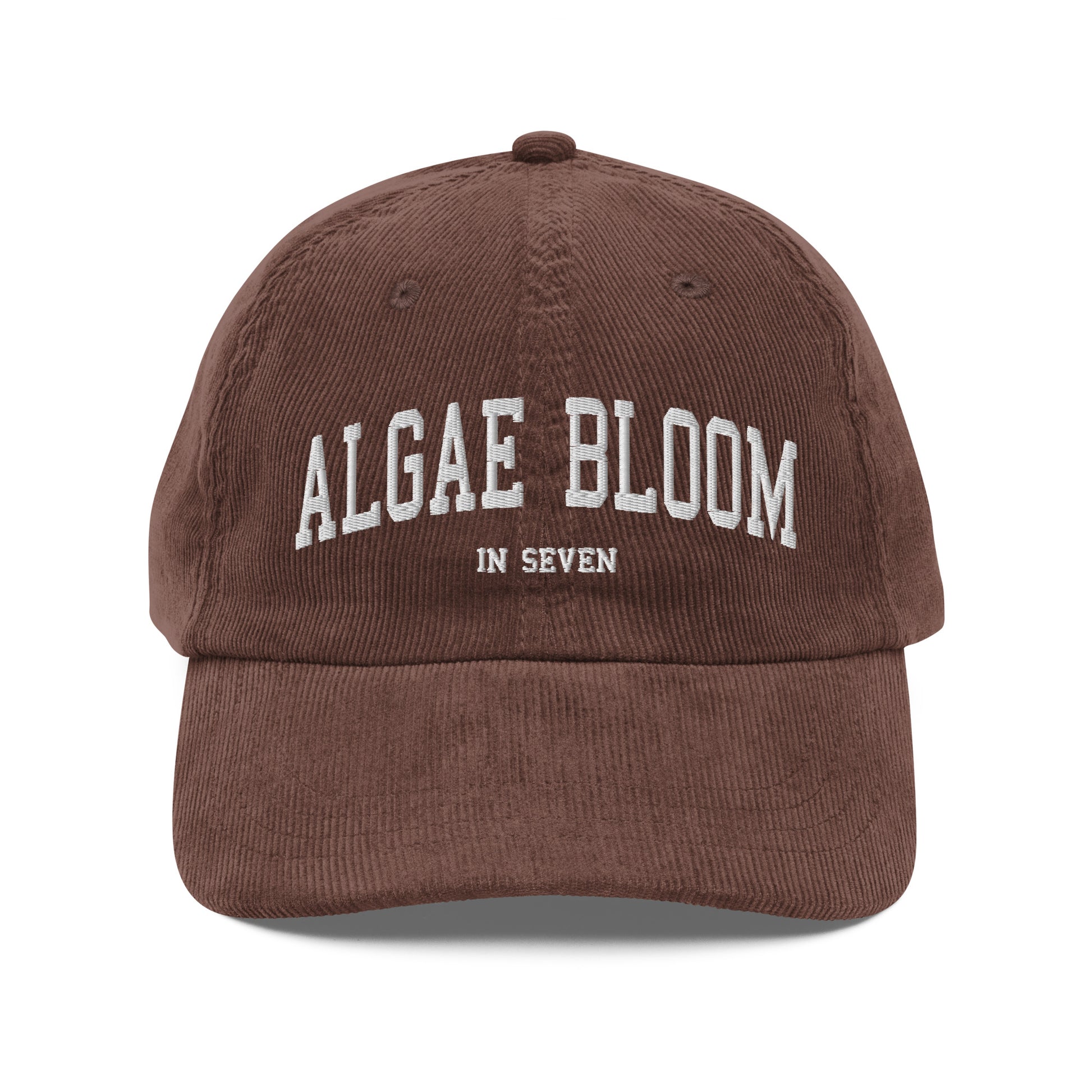 Algae Bloom In Seven Corduroy Dad Hat