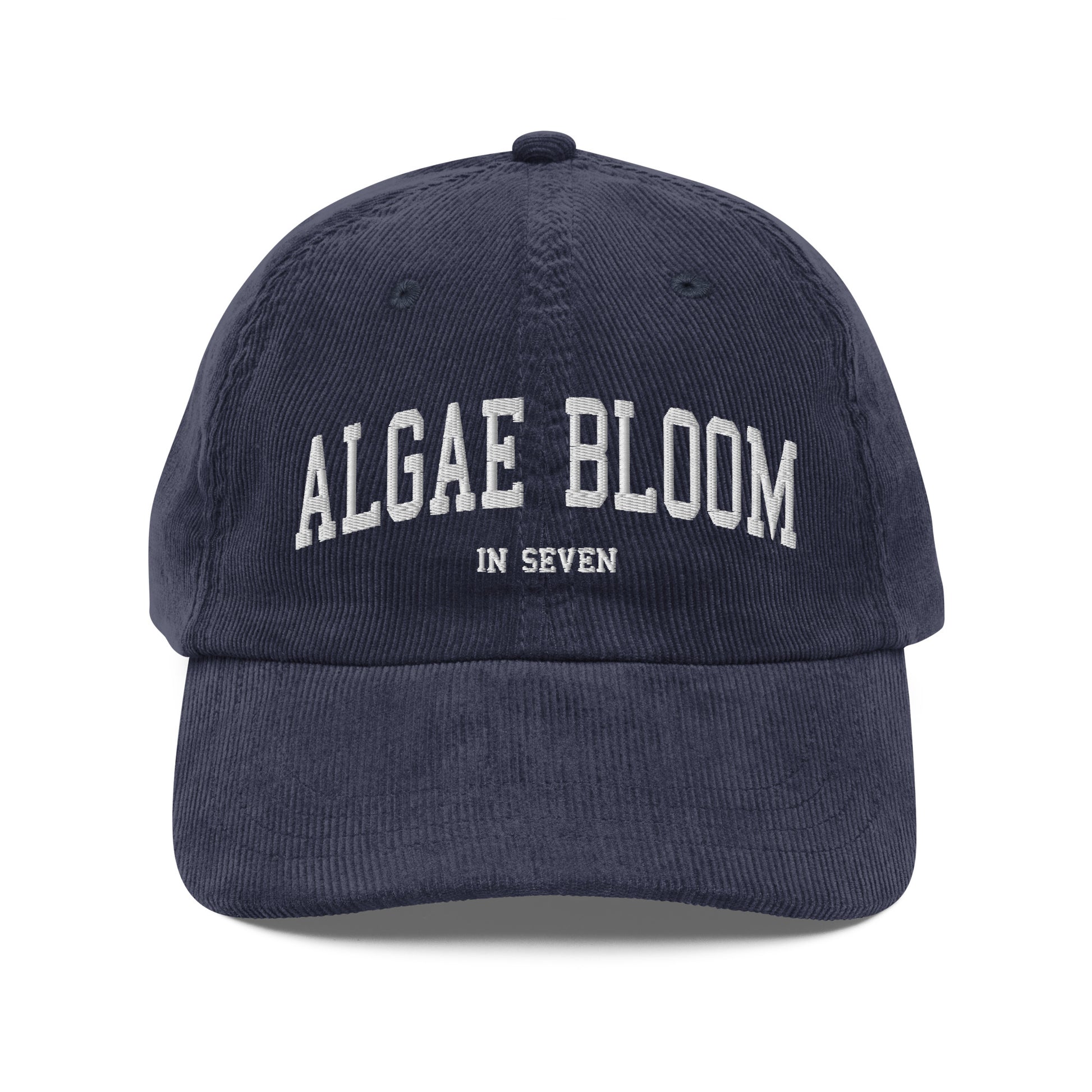 Algae Bloom In Seven Corduroy Dad Hat